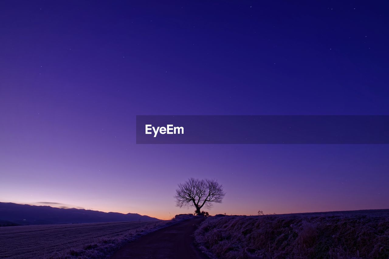 Scenic view of landscape against clear sky at night