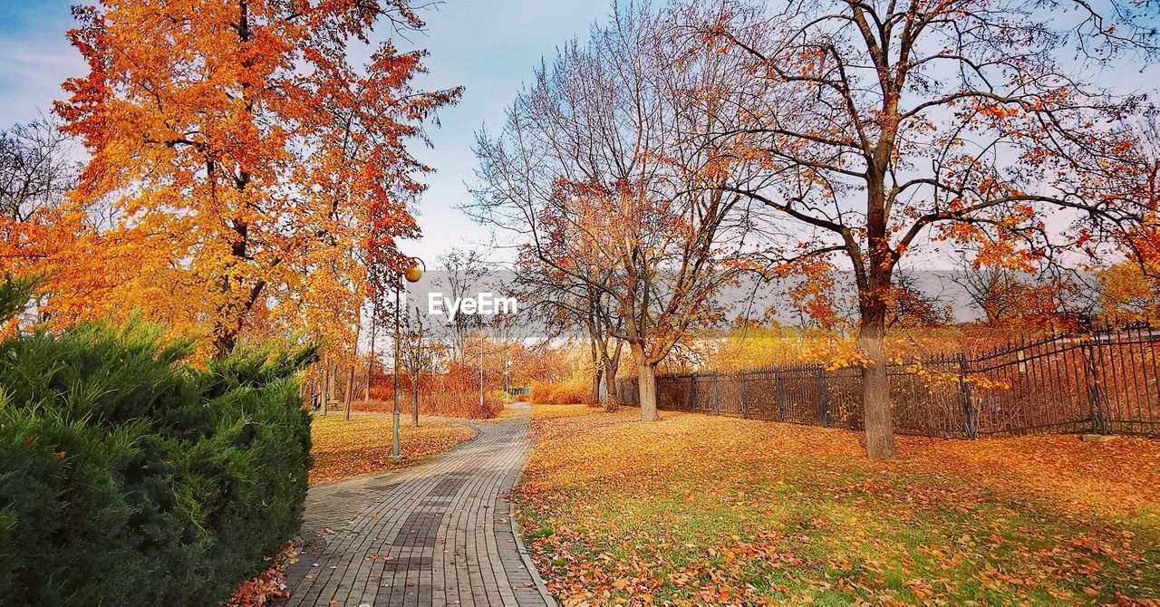 Road amidst trees during autumn against sky