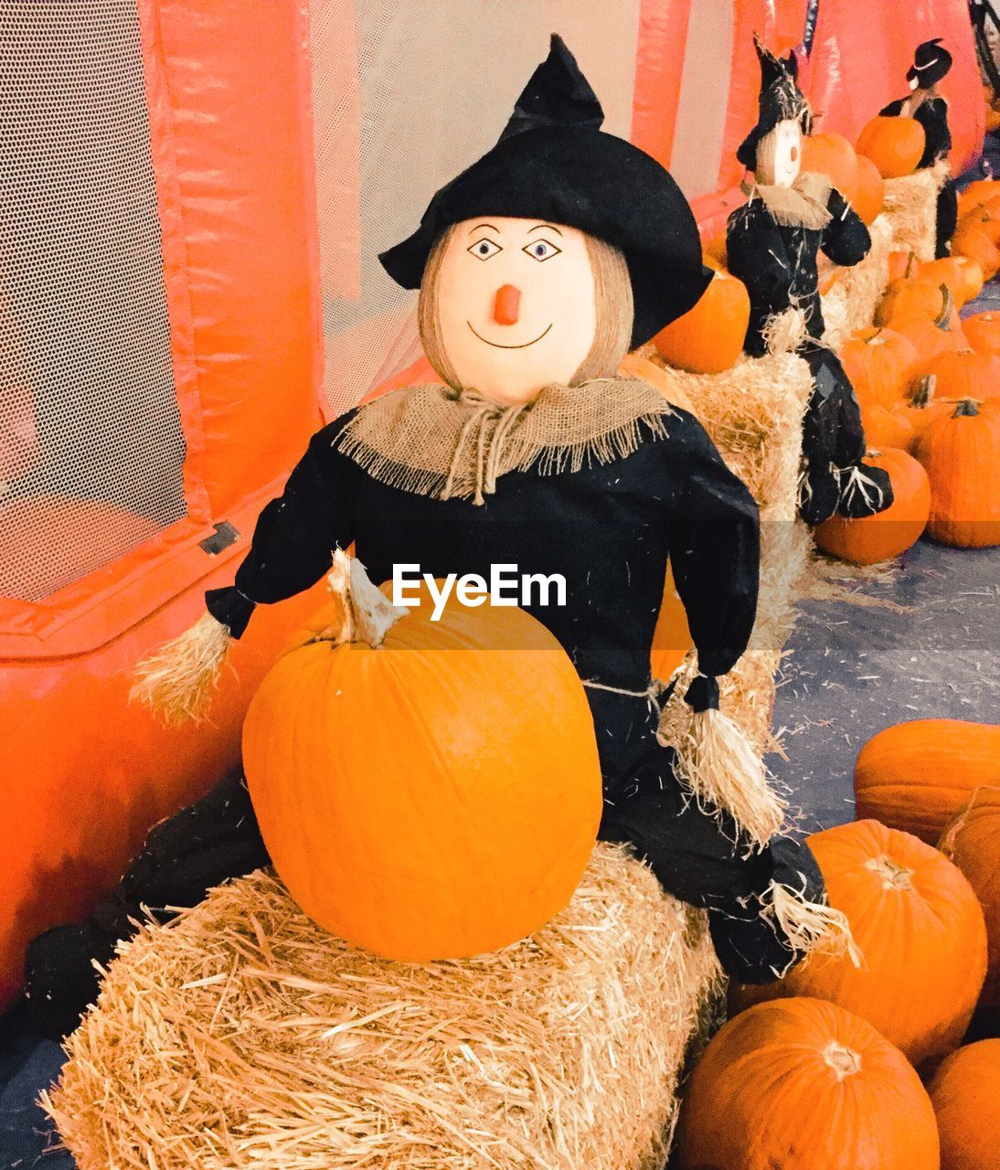 CLOSE-UP OF PUMPKIN AND PUMPKINS ON ORANGE WALL