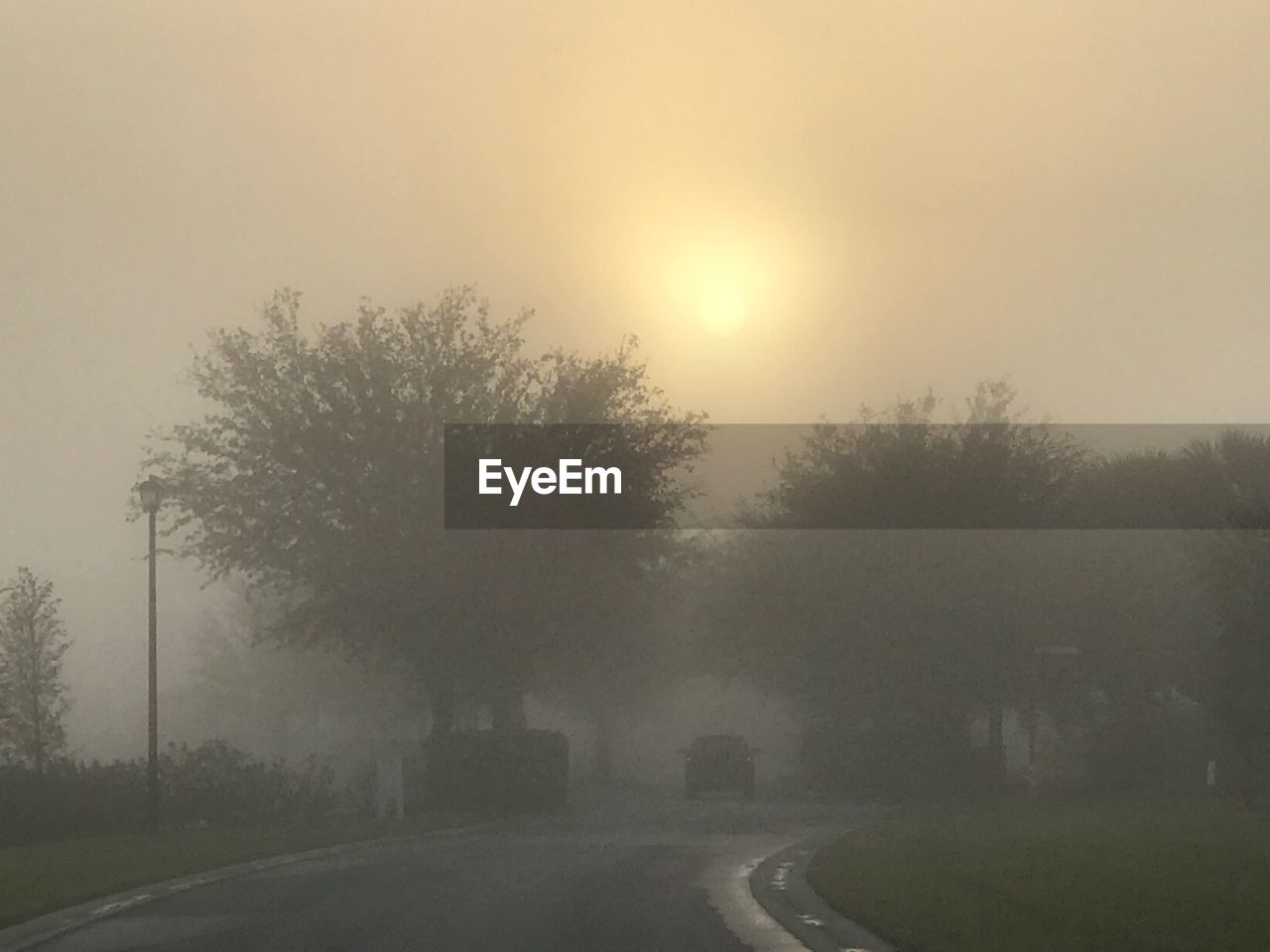 VIEW OF TREES IN FOGGY WEATHER AGAINST SKY