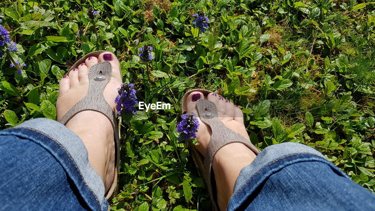 Low section of woman wearing sandals outdoors on wildflower field 
