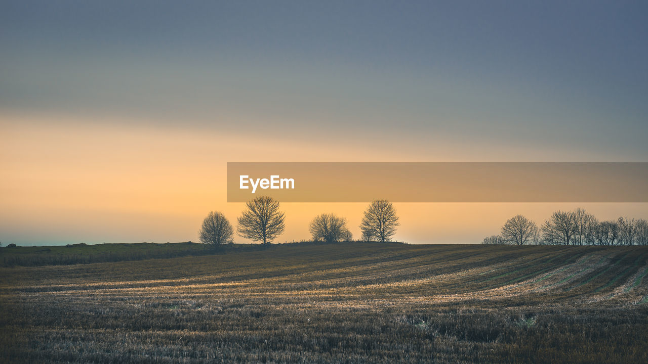 Scenic view of field against sky at sunset