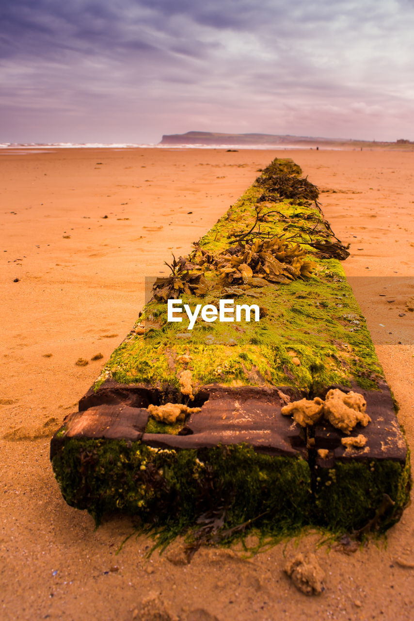 SCENIC VIEW OF BEACH