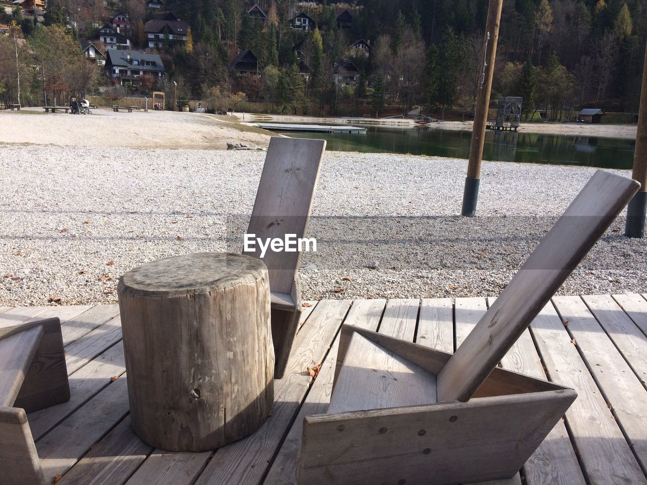 CLOSE-UP OF WOOD AND TREES