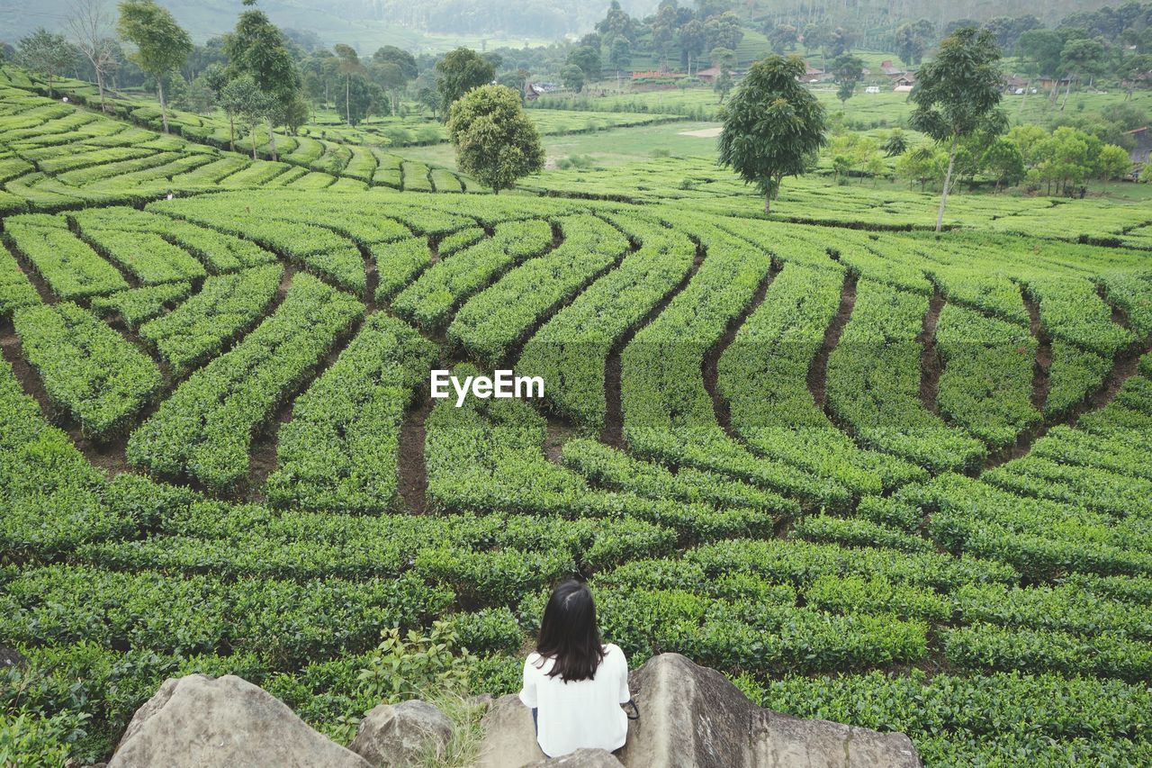 High angle view of woman by field