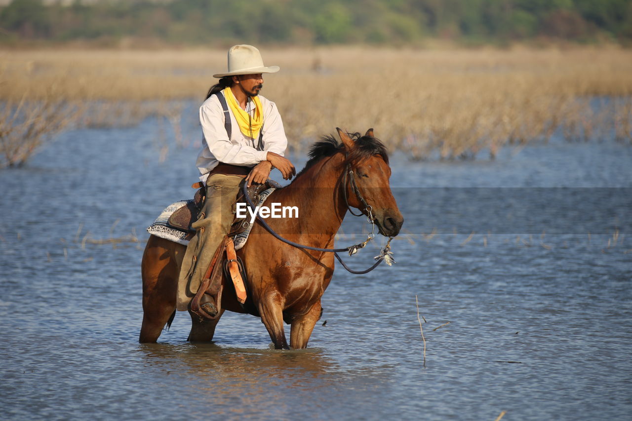 Man riding horse in lake