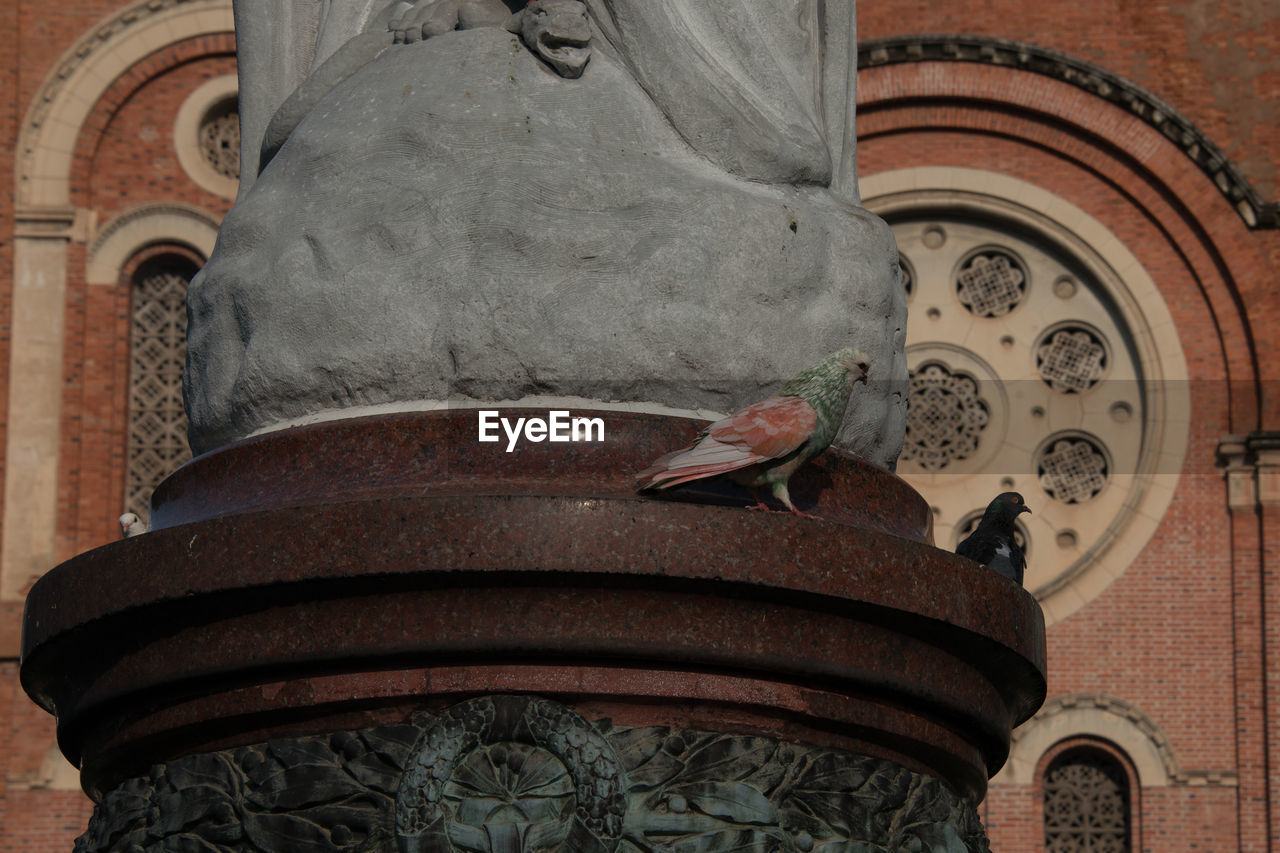 LOW ANGLE VIEW OF BIRD PERCHING ON STATUE AGAINST TEMPLE