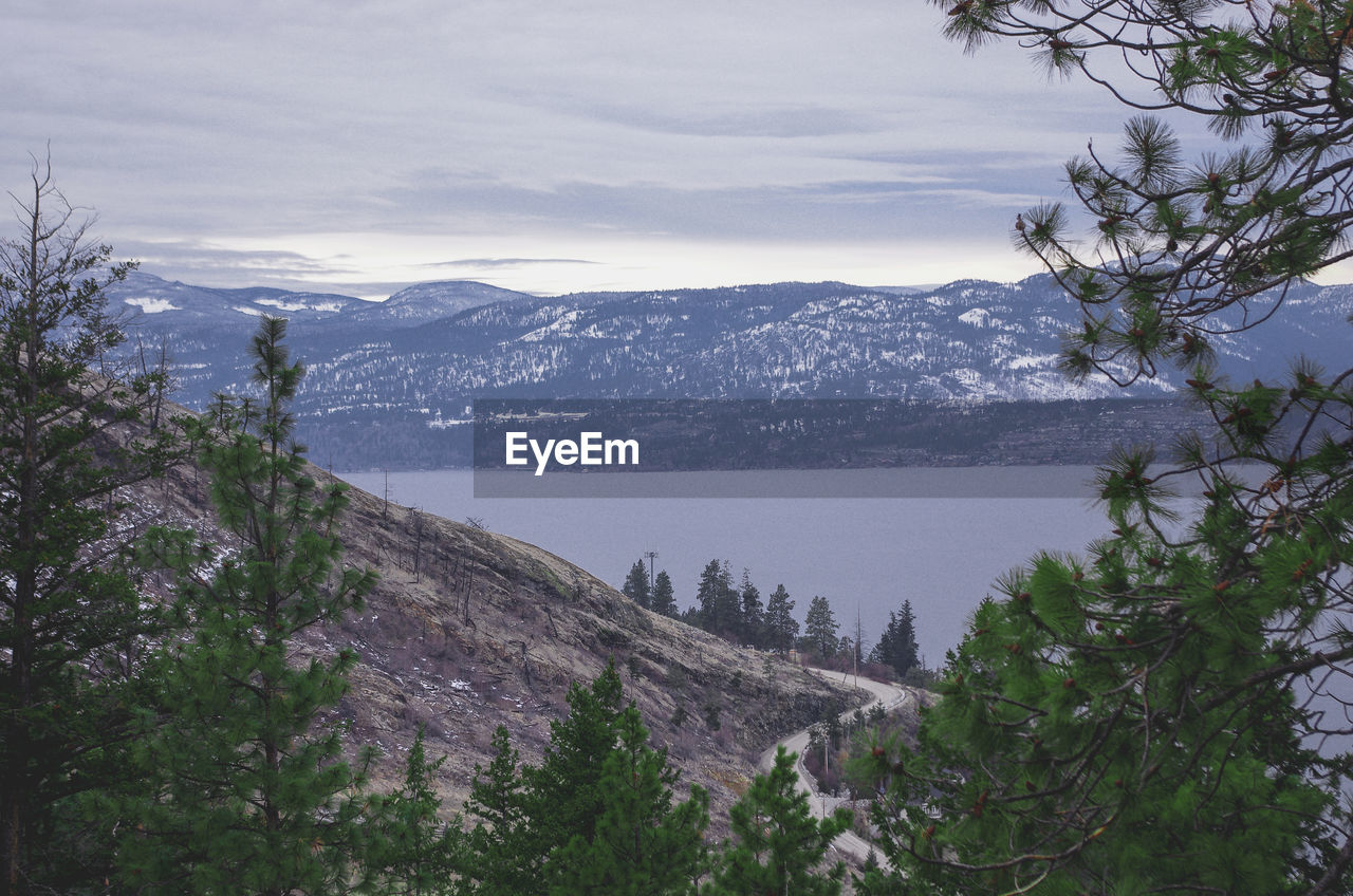 Trees growing by lake against sky