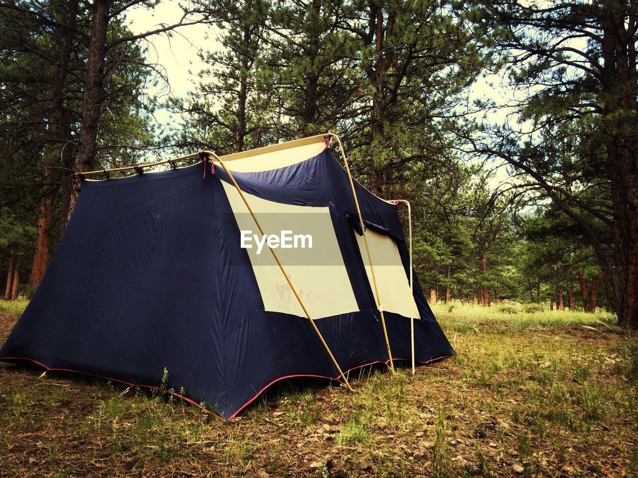 Tent in forest