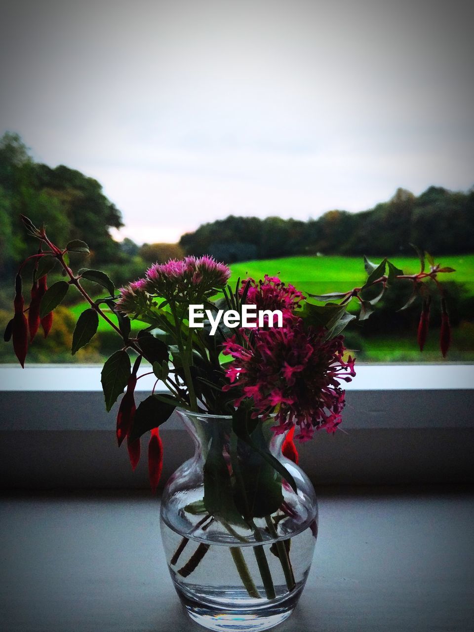 CLOSE-UP OF FLOWER ON TABLE AGAINST SKY