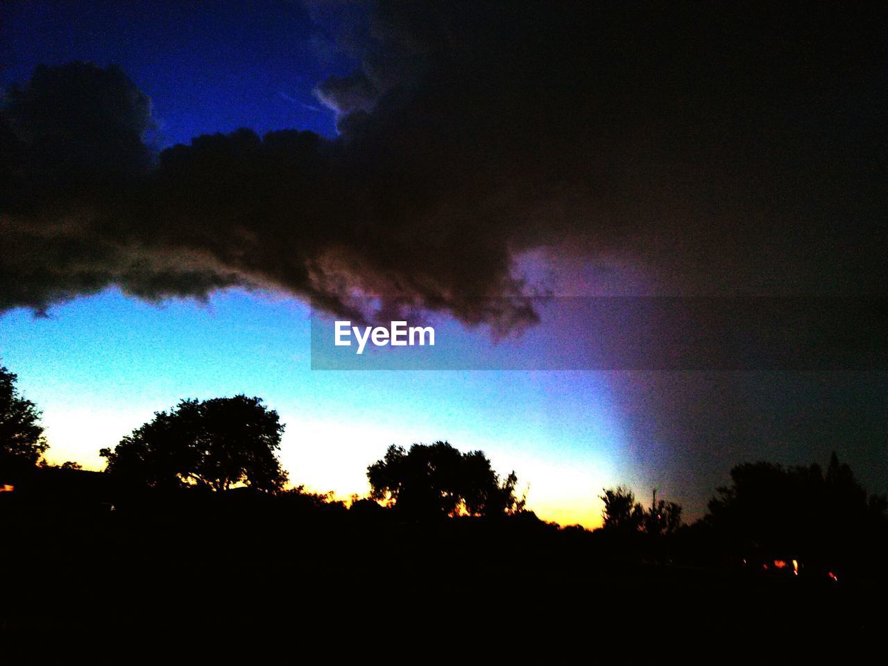 LOW ANGLE VIEW OF SILHOUETTE TREES AGAINST SKY