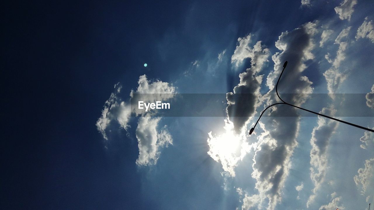 LOW ANGLE VIEW OF TREE AGAINST BLUE SKY