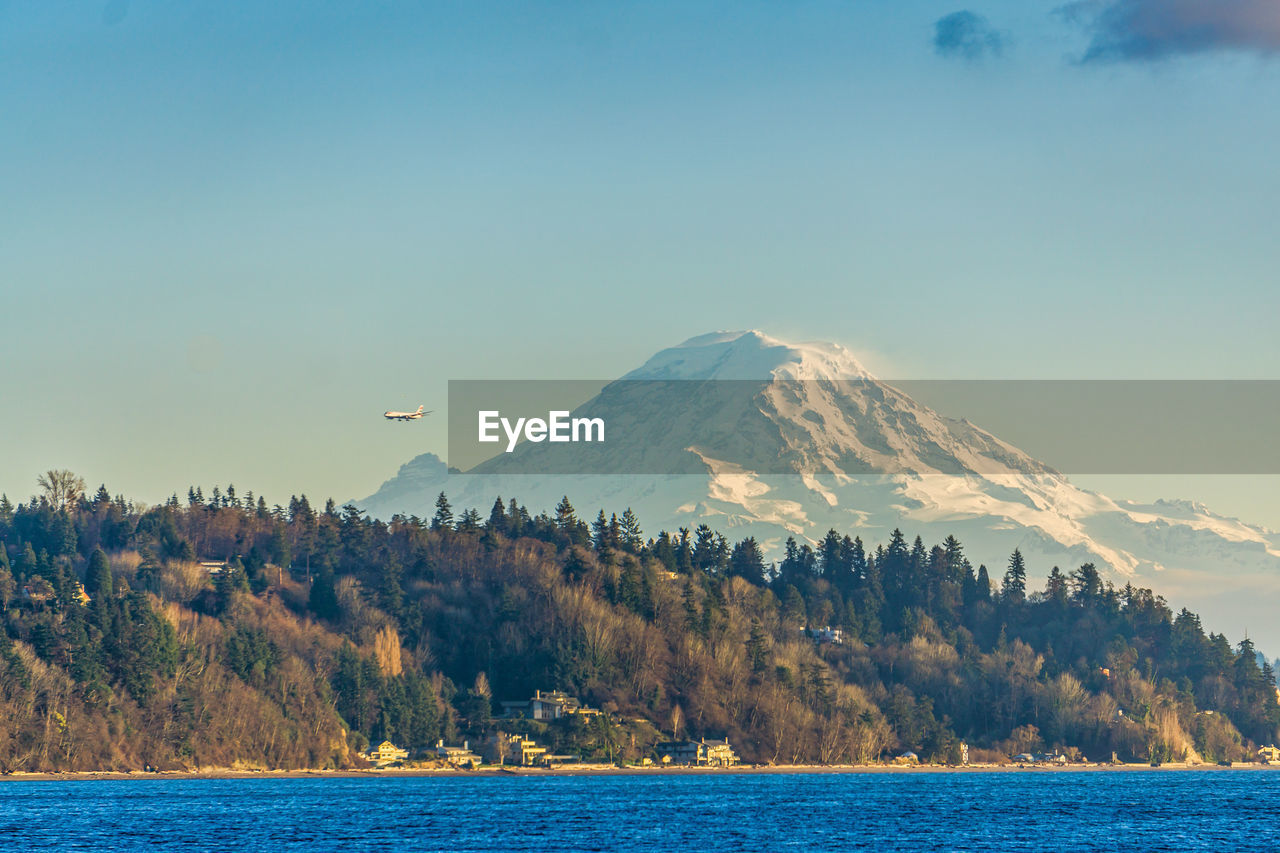 A view of a point with trees and mount rainier in burien, washington.