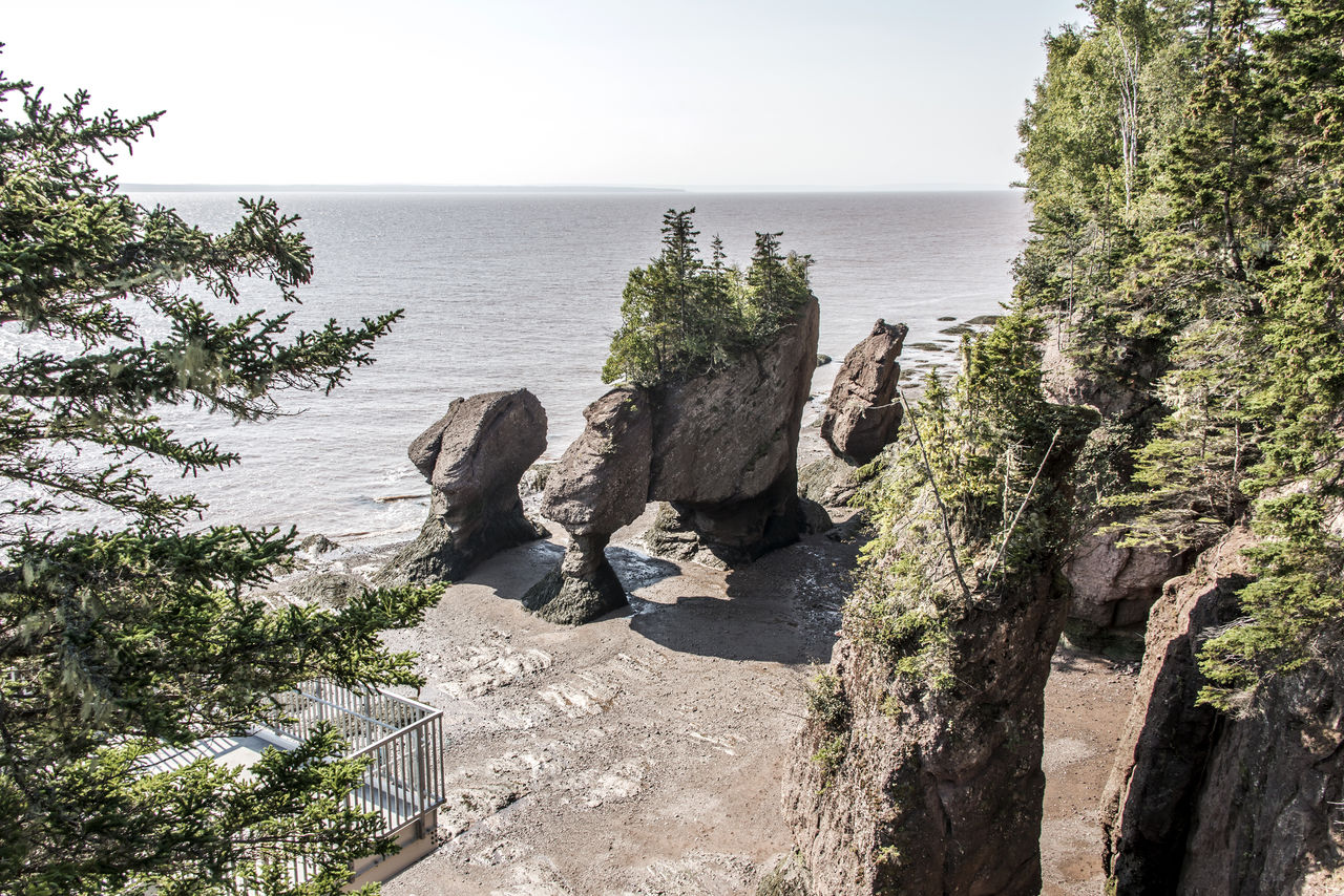 PANORAMIC SHOT OF SEA AGAINST CLEAR SKY