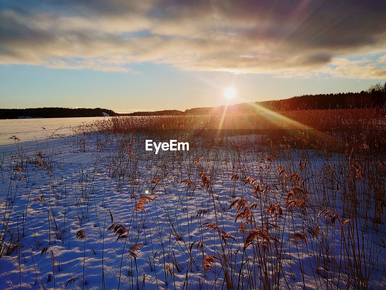 sky, reflection, morning, sunlight, environment, landscape, nature, beauty in nature, sunrise, scenics - nature, dawn, sun, water, tranquility, cloud, winter, horizon, tranquil scene, land, plant, no people, cold temperature, sunbeam, lens flare, lake, non-urban scene, rural scene, snow, outdoors, idyllic, field, back lit, twilight, blue, dramatic sky, tree, grass, frost, mountain, day, frozen