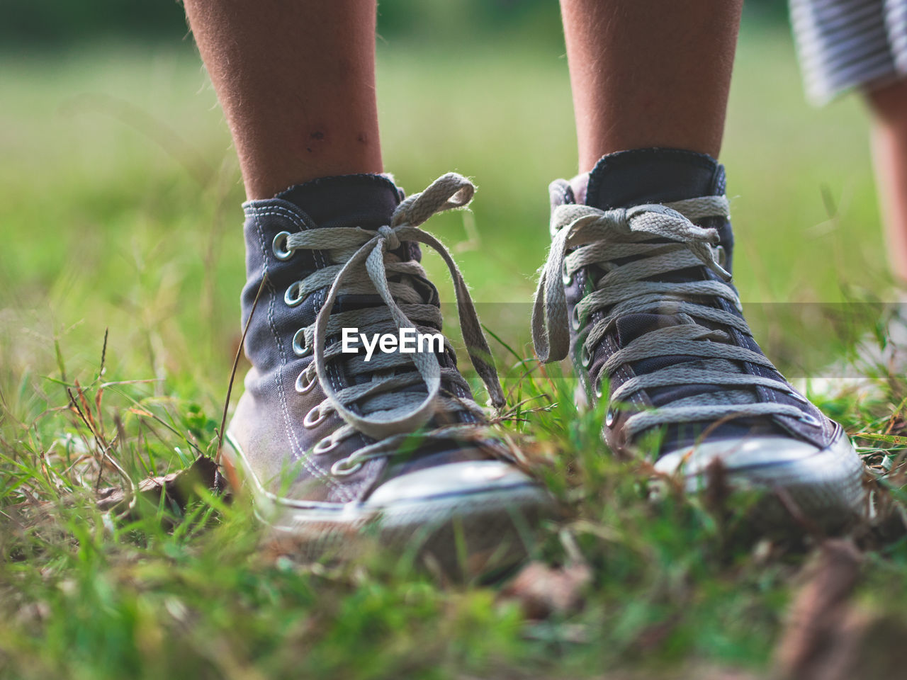 Low section of man wearing shoes standing on grassy field