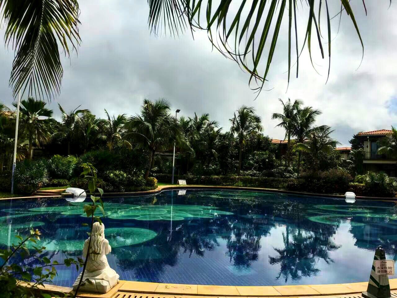 REFLECTION OF PALM TREES AND SWIMMING POOL