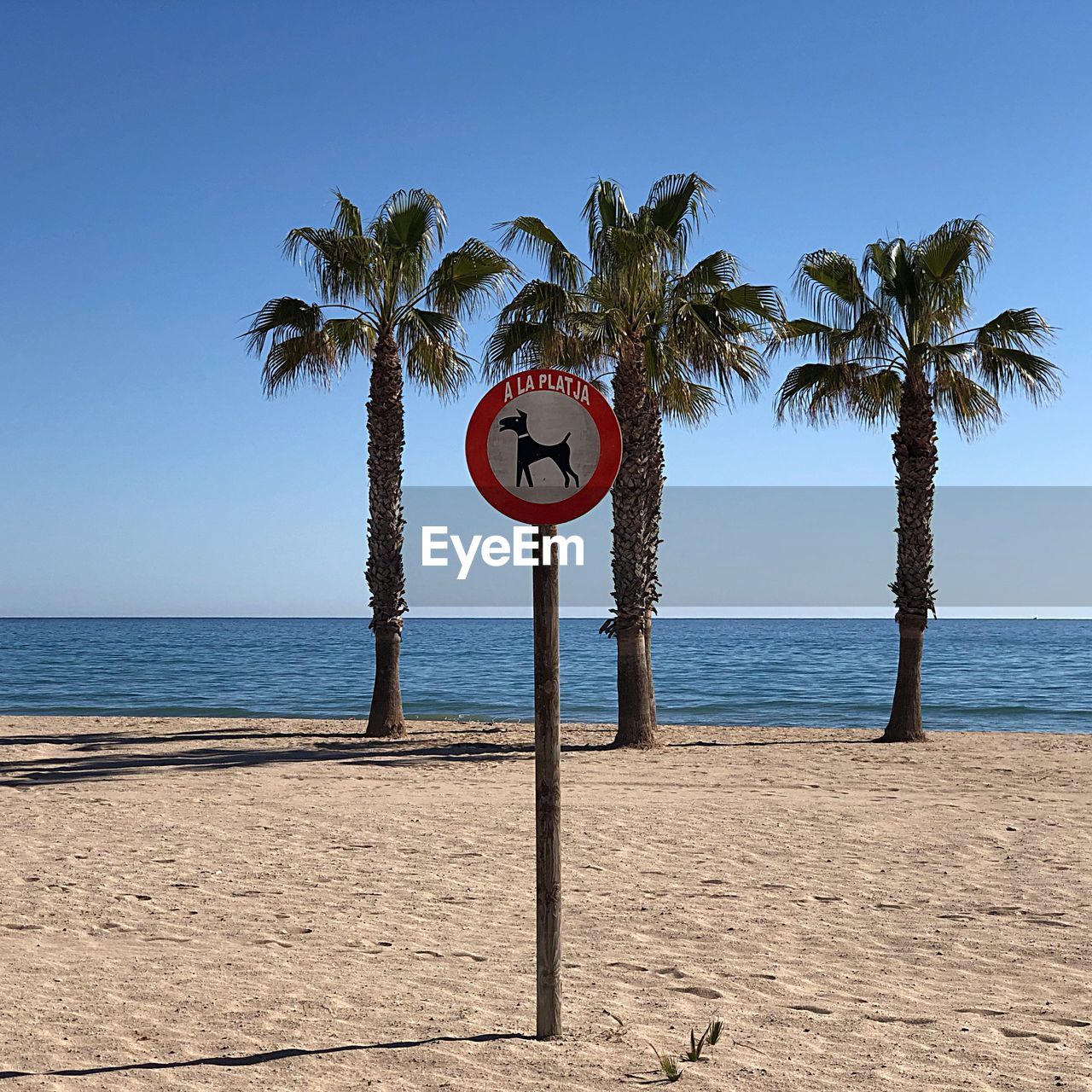 Road sign at beach