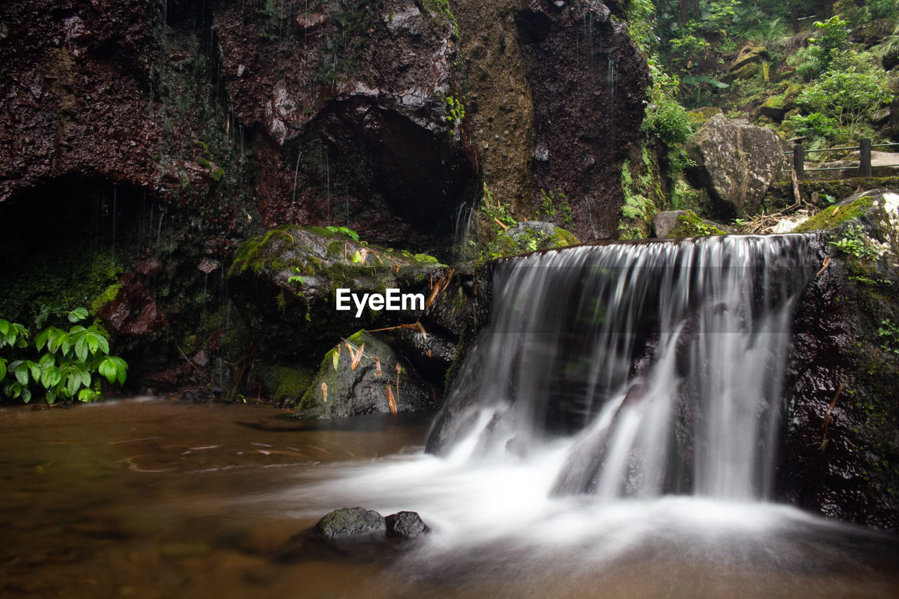 Scenic view of waterfall in forest