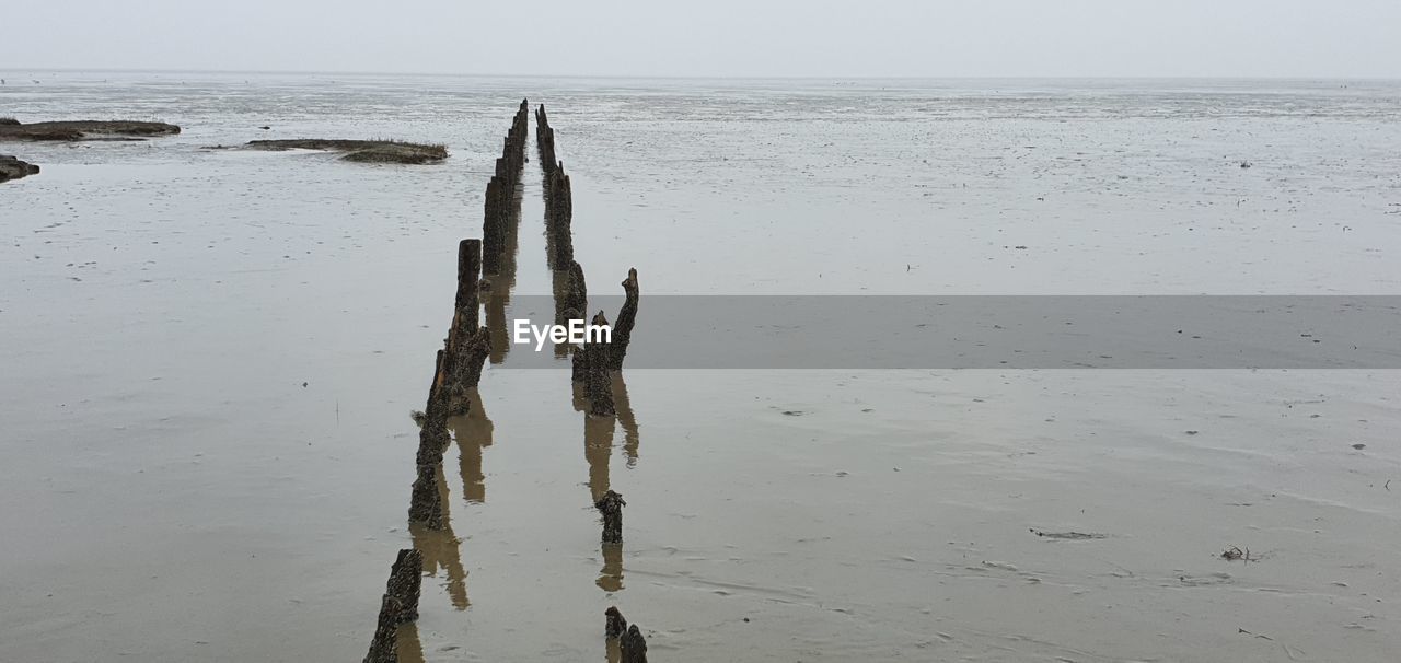 Wooden posts on beach