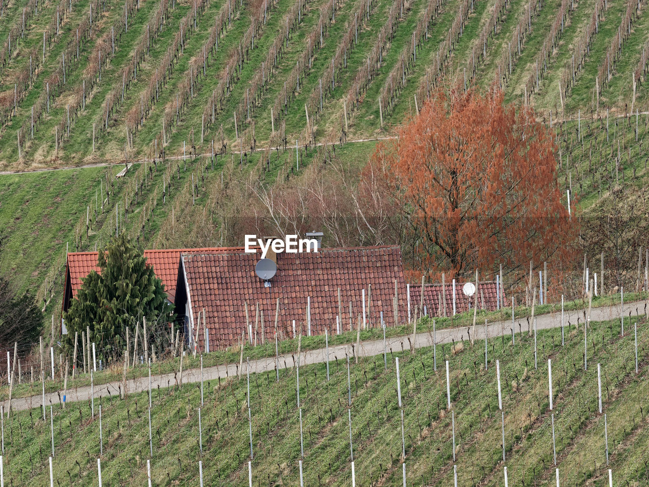 VIEW OF FARM