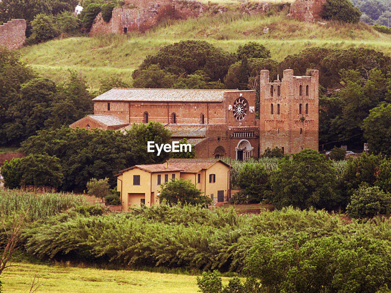 HOUSE AND TREES IN A FIELD