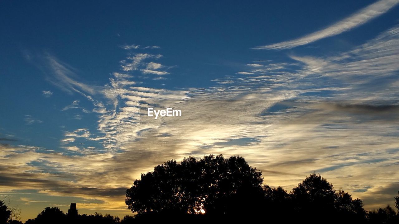 Silhouette trees against cloudy blue sky during sunset