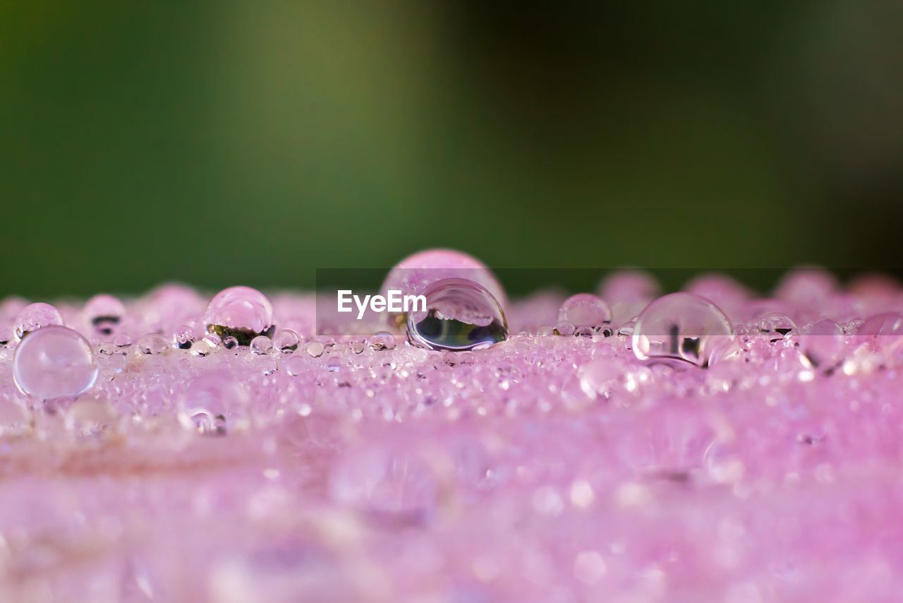 Close-up of water droplets