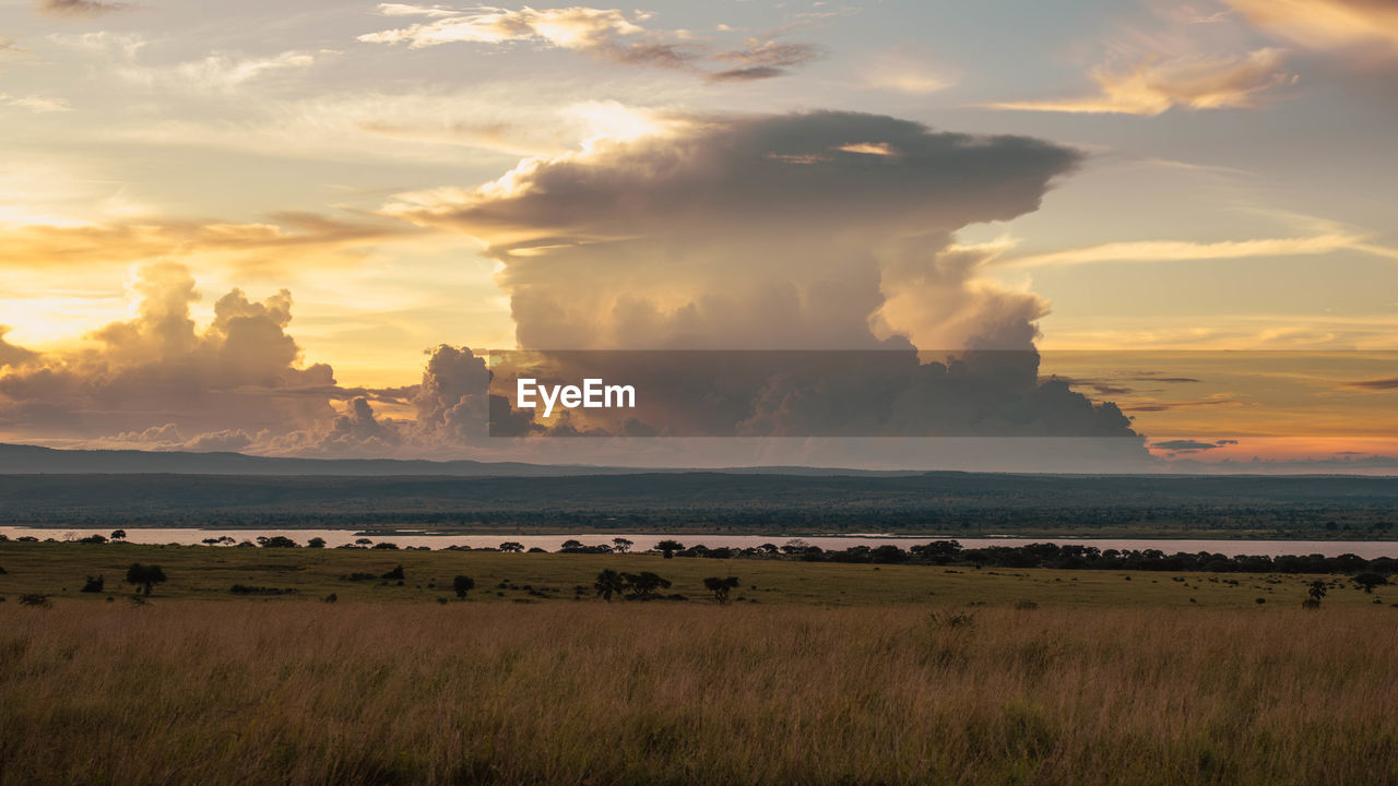 Vibrant hues and billowing clouds over the ugandan savanna during sunset. ideal for nature projects.