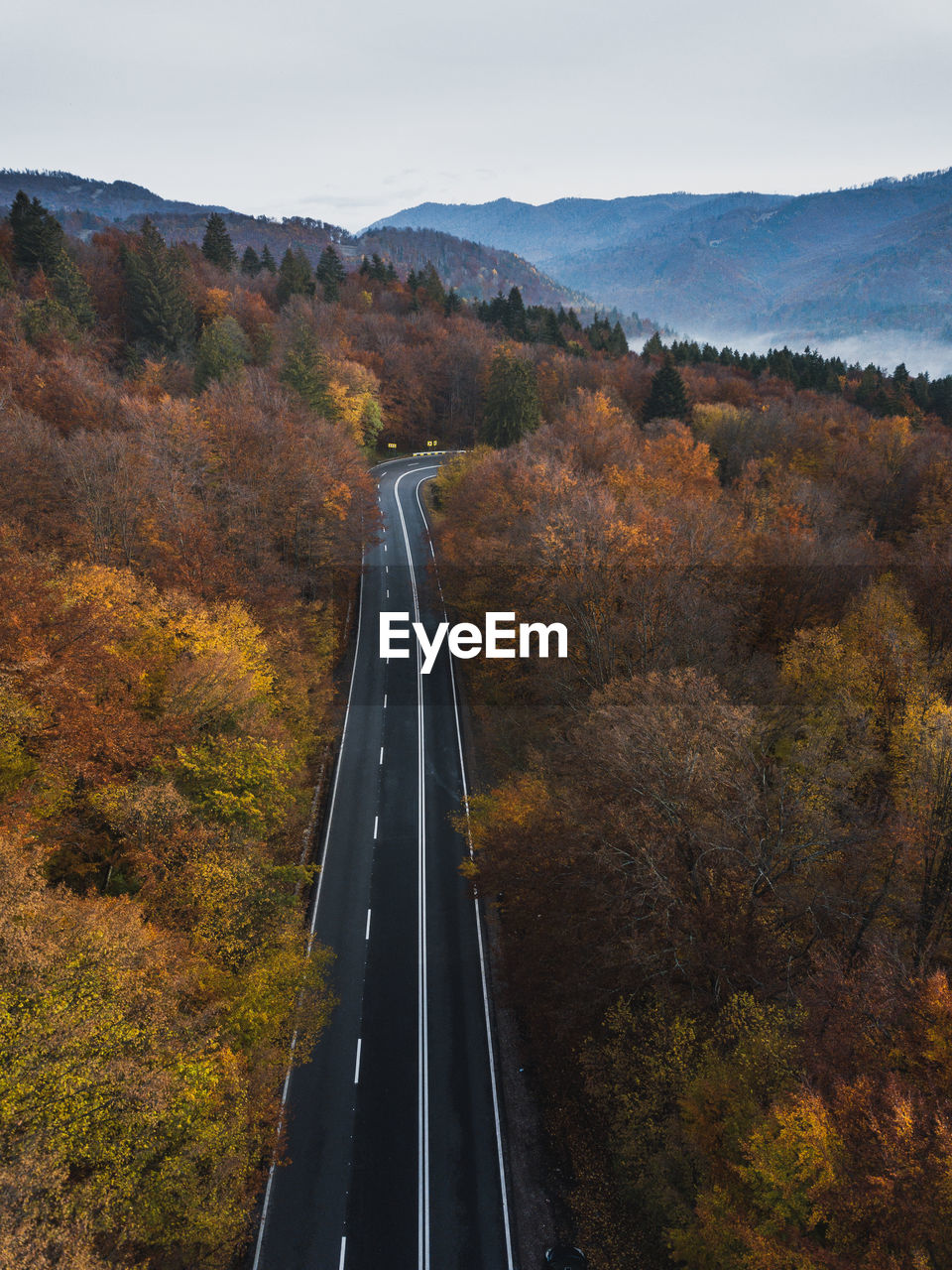 Aerial view of asphalt road trough the autumn colorful forest. travel concept.