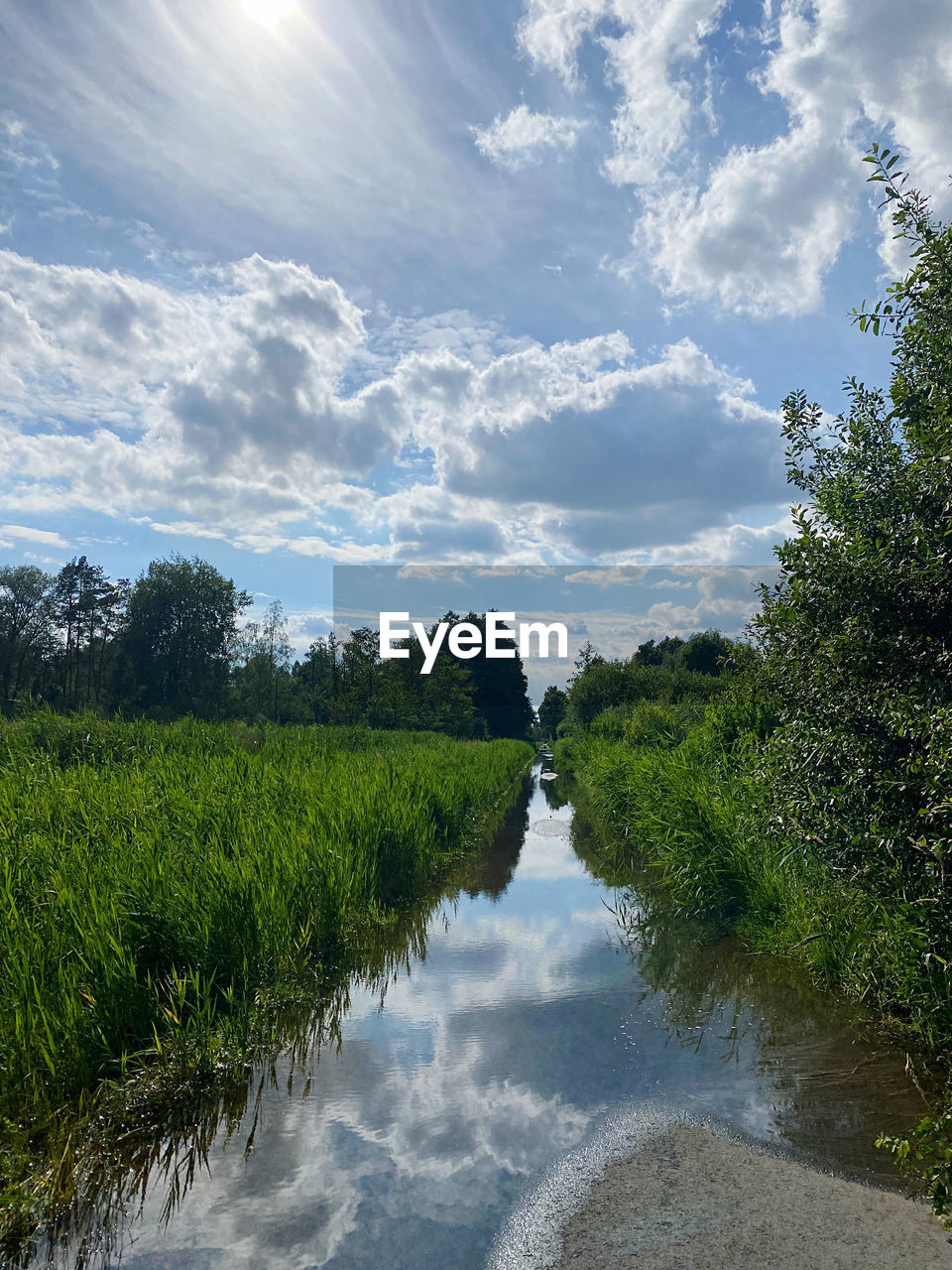 sky, nature, plant, water, reflection, river, tree, cloud, landscape, environment, beauty in nature, scenics - nature, body of water, tranquility, land, no people, grass, waterway, green, tranquil scene, outdoors, natural environment, growth, rural area, rural scene, day, wetland, sunlight, forest, morning, non-urban scene, reservoir, blue, stream, field