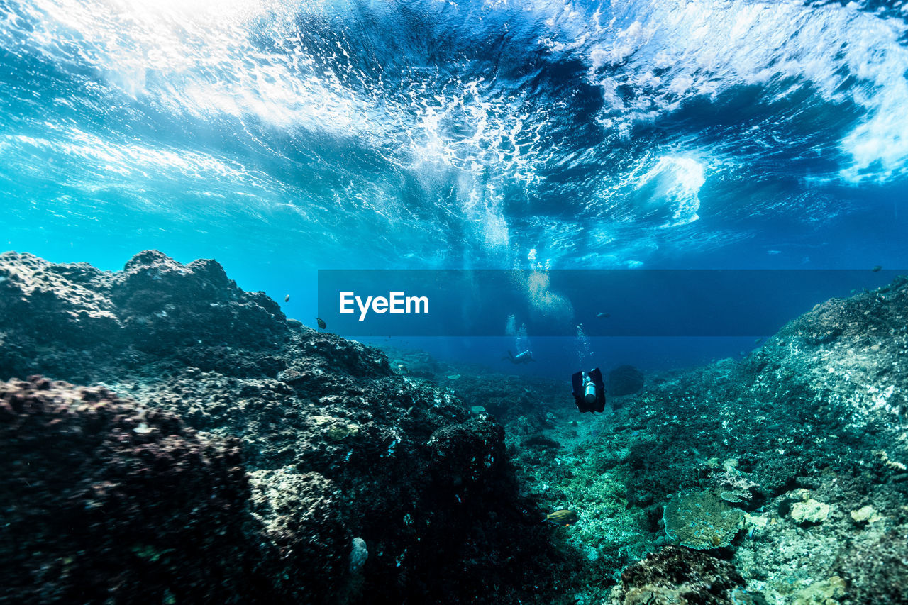 Person swimming in sea