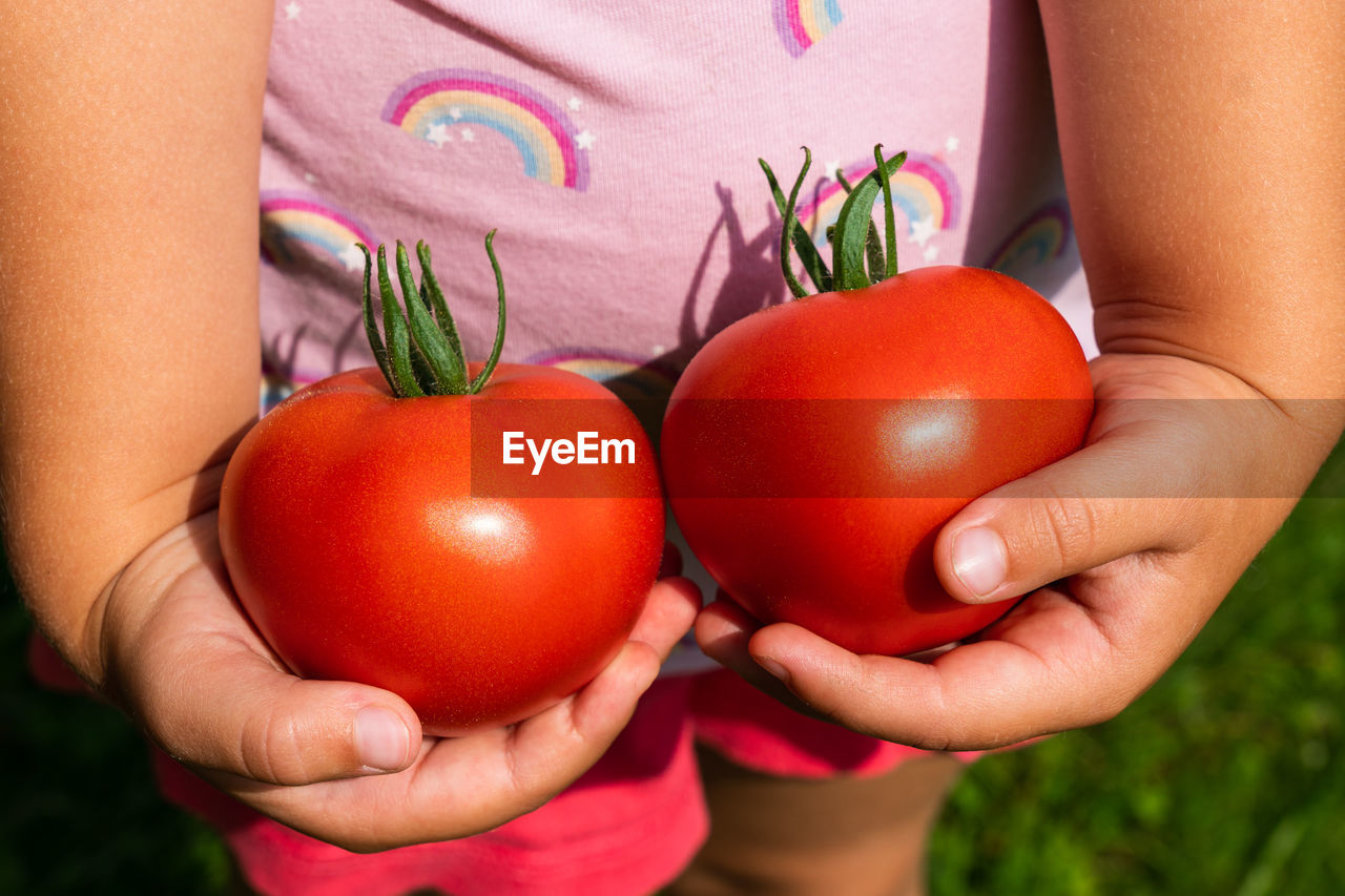 Midsection of a child holding tomatoes