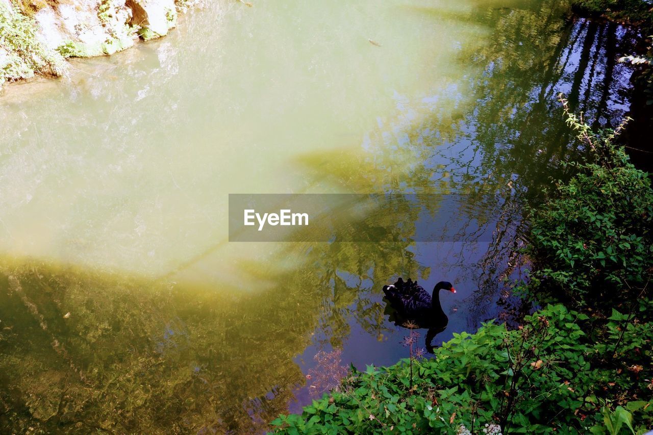 HIGH ANGLE VIEW OF PEOPLE IN LAKE