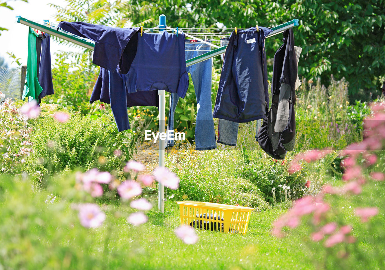 Clothes drying on rotary washing line on grassy field at backyard