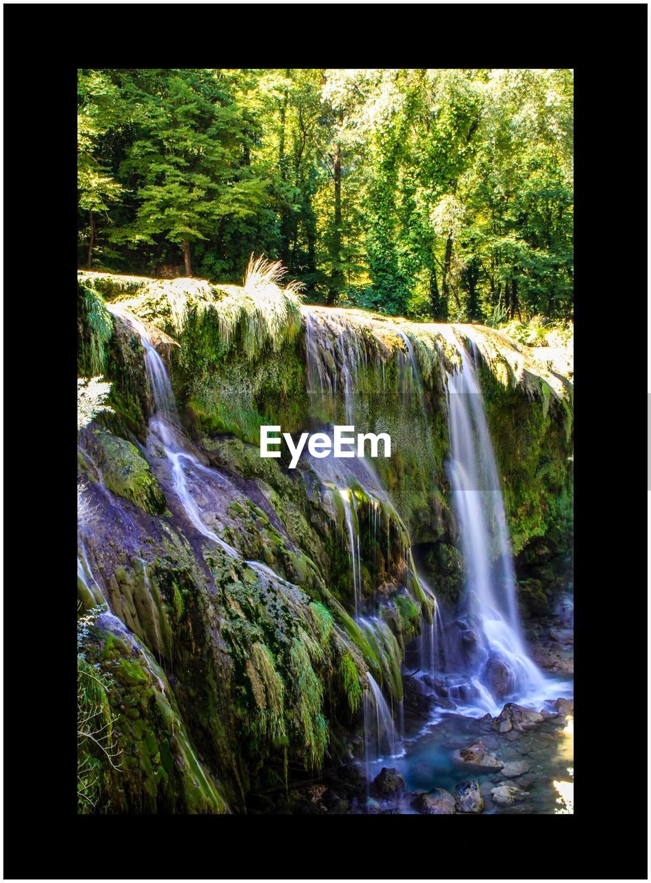 WATERFALL ALONG TREES