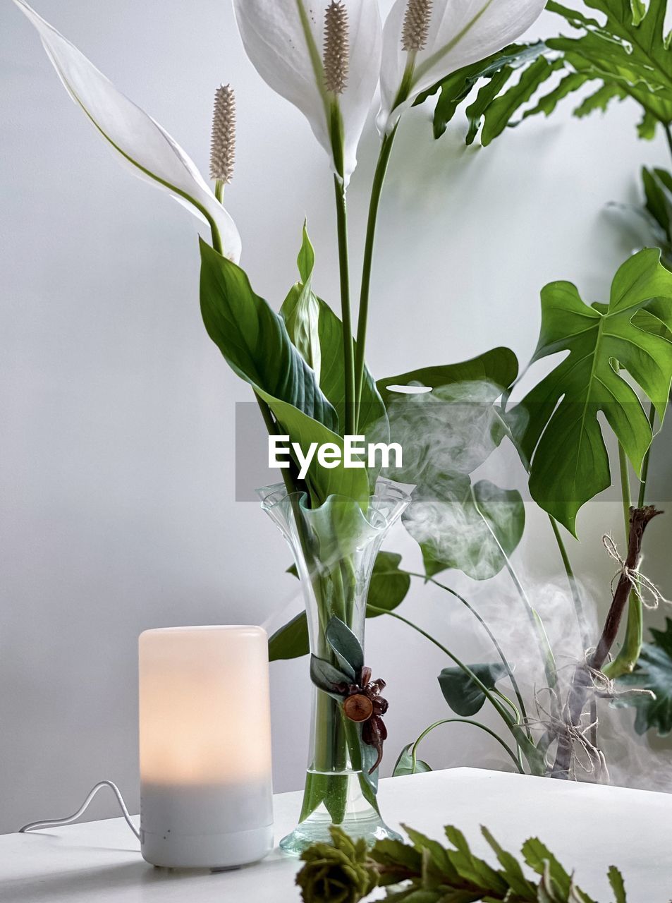 plant, floristry, leaf, plant part, nature, flower, green, floral design, indoors, table, no people, food and drink, ikebana, branch, food, vase, flowering plant, growth, freshness, beauty in nature, still life