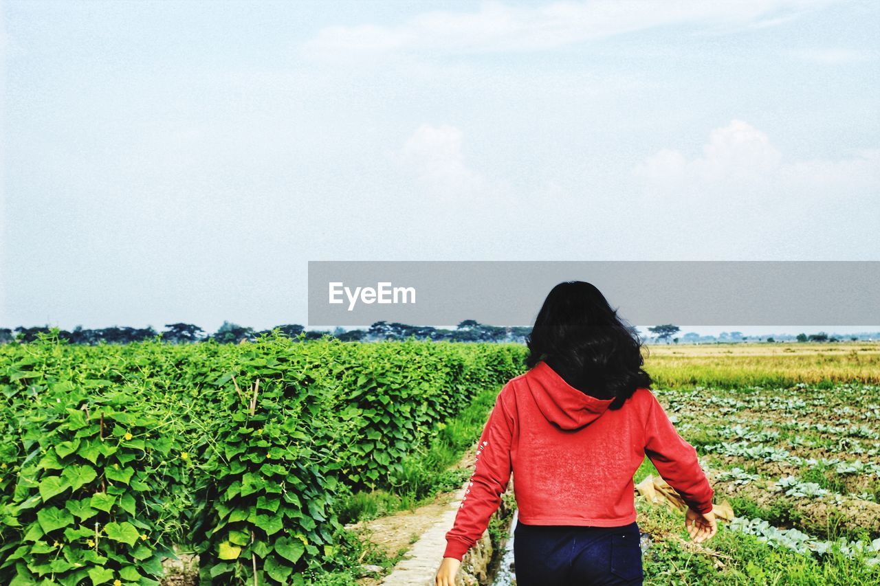 REAR VIEW OF MAN STANDING IN FIELD