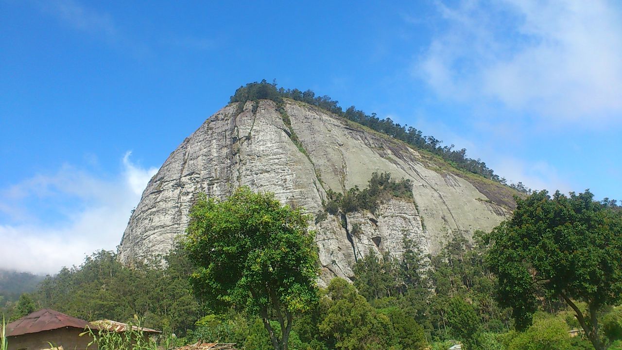 LOW ANGLE VIEW OF TREES ON MOUNTAIN AGAINST CLOUDY SKY