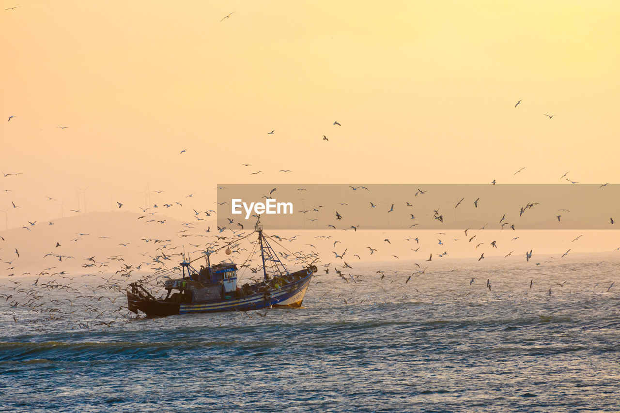 SILHOUETTE BIRDS FLYING OVER SEA AGAINST SKY