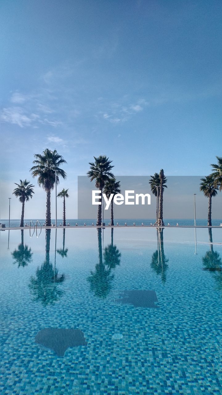 Palm trees by swimming pool against sky