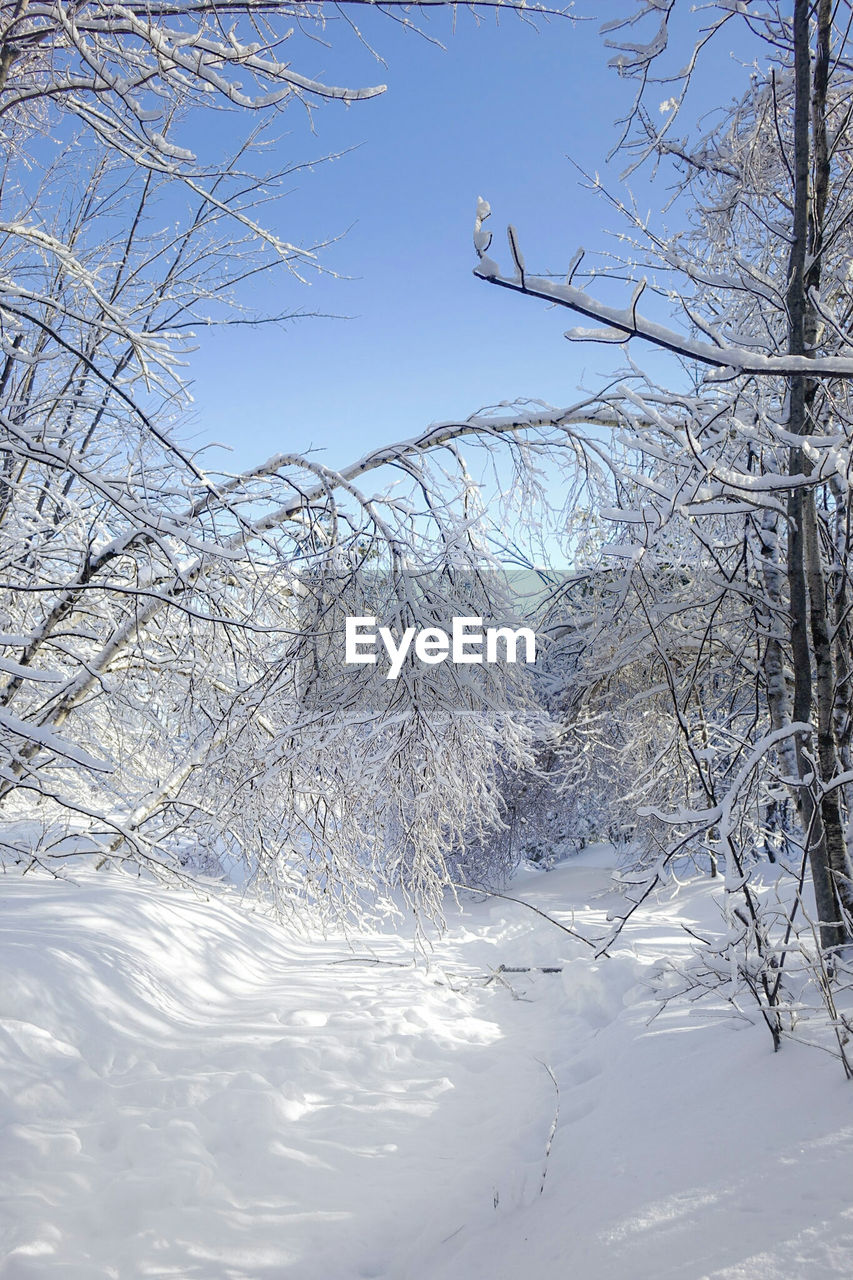 Close-up of snow against sky