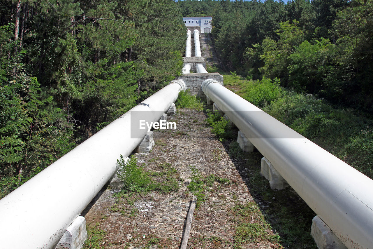 HIGH ANGLE VIEW OF PIPE AMIDST TREES