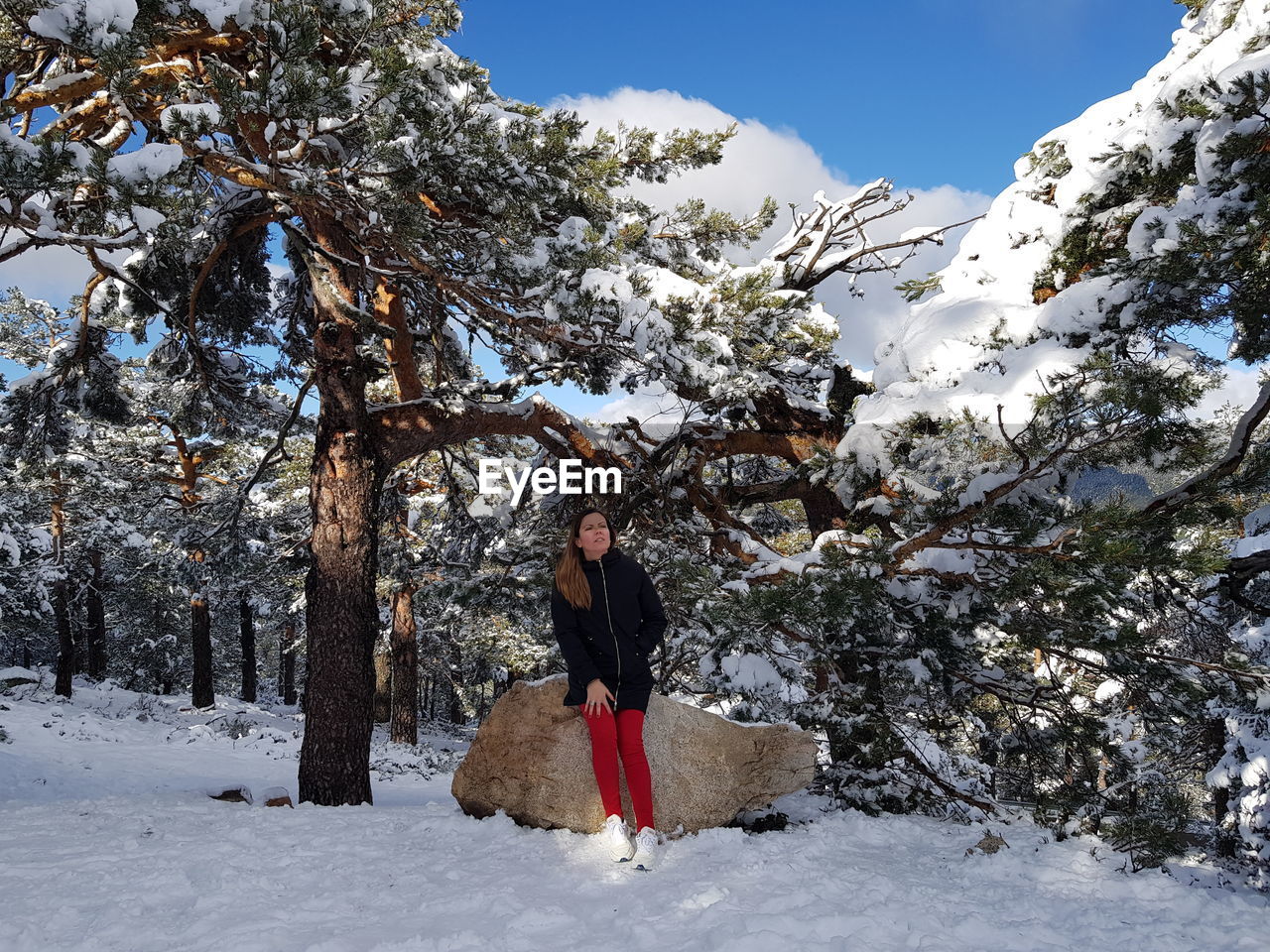 Full length of person standing on snow covered tree