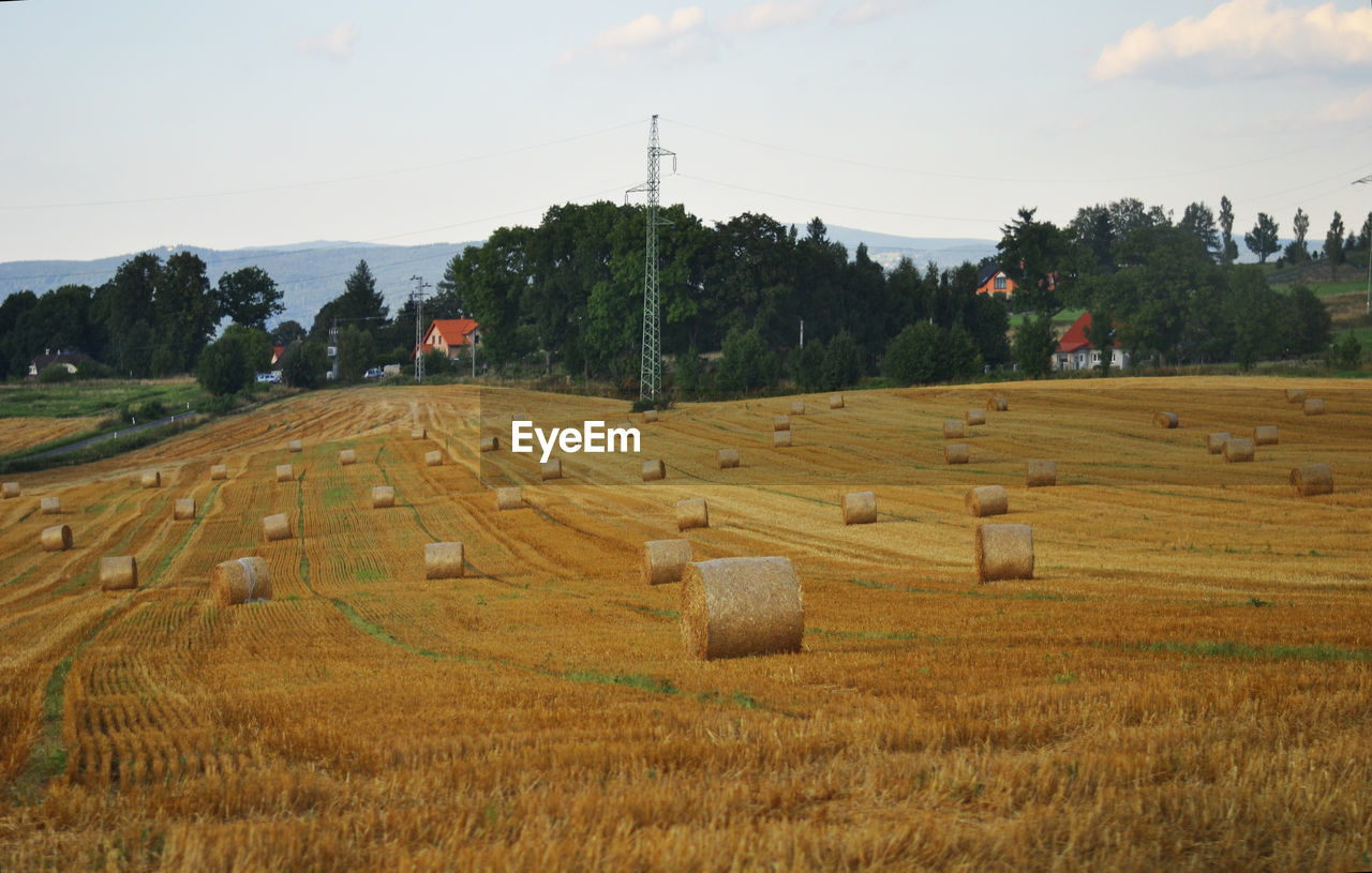 Hay bales on field against sky