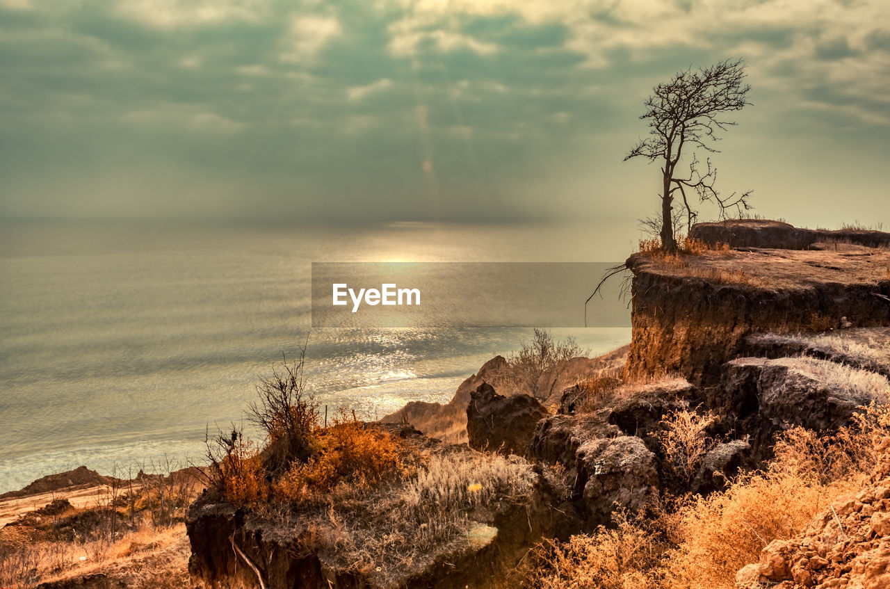 SCENIC VIEW OF SEA SHORE AGAINST SKY