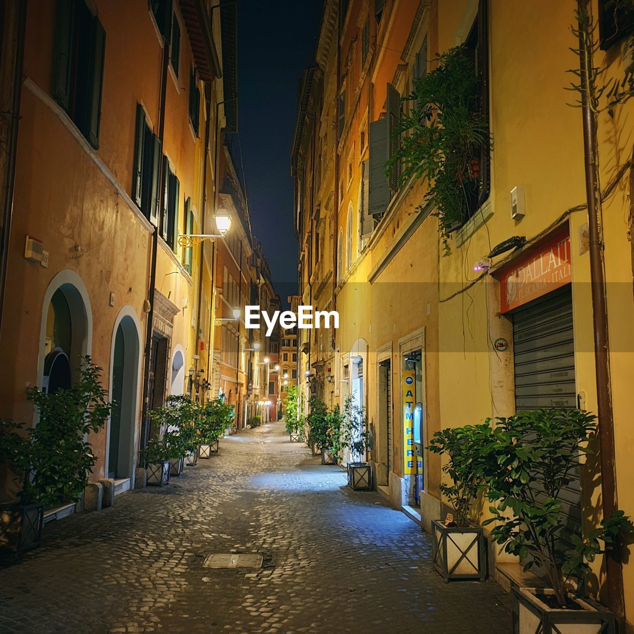 ILLUMINATED STREET AMIDST BUILDINGS AT NIGHT