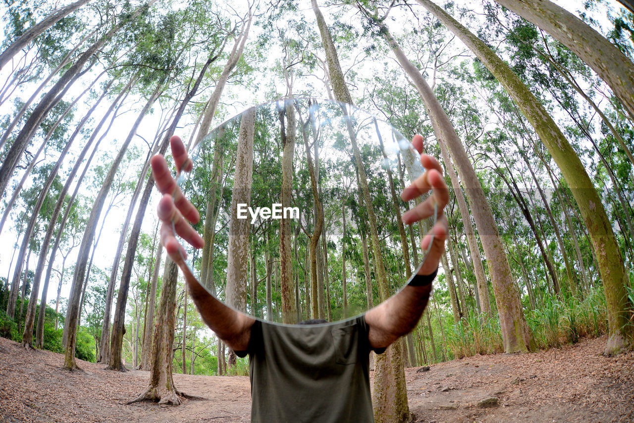 Low angle view of man hands in forest