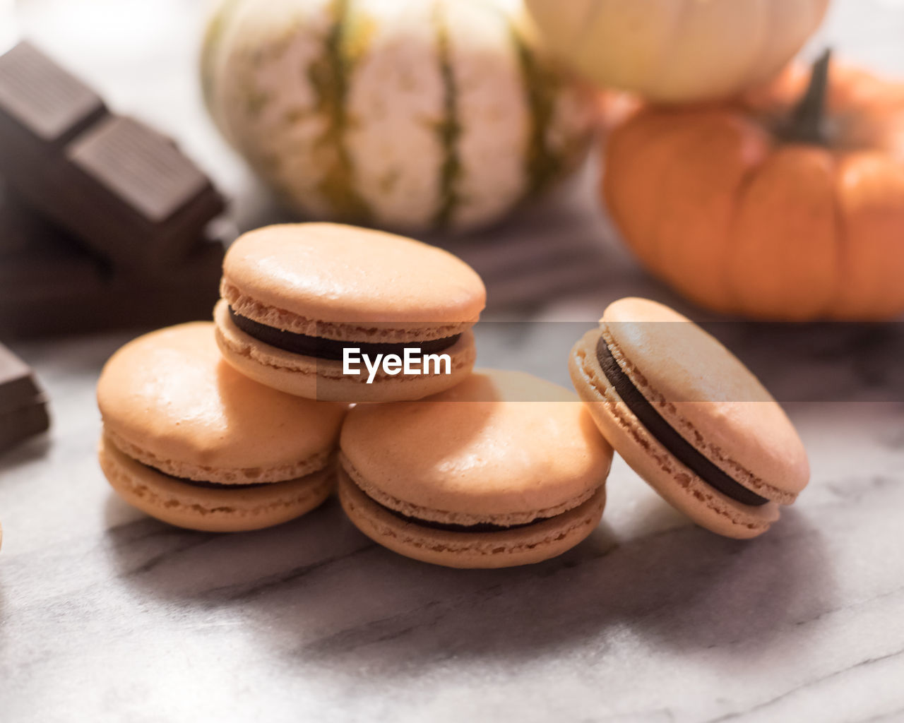 Pumpkin chocolate macarons with chocolate pieces and mini gourds