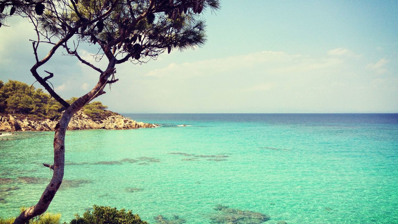 Scenic view of tropical beach